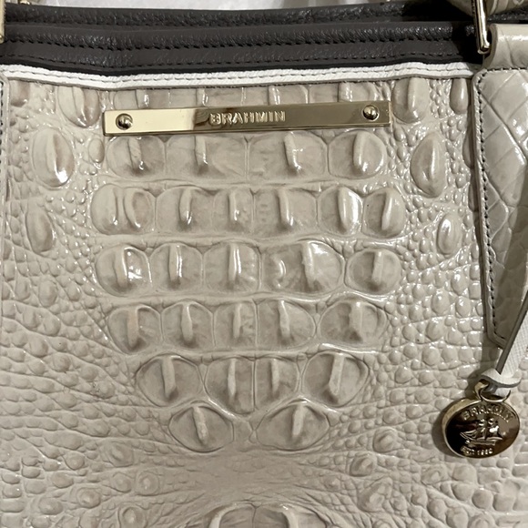 Brahmin - Picture 3 of 11